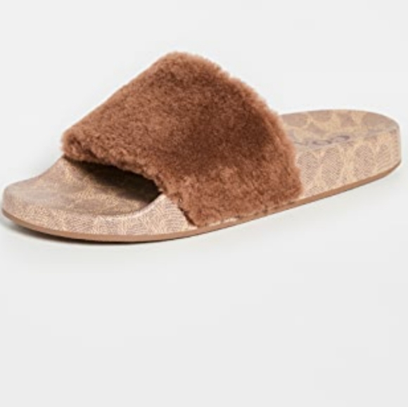Coach 1941 Signature Shearling Pool Slides - Picture 2 of 5